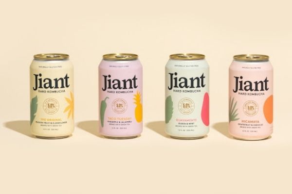 Website of Jiant