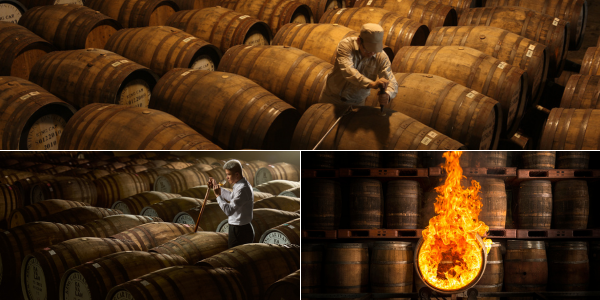 Maturation warehouses 